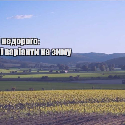podorozhi nedorogo byudzhetni varianty na zymu