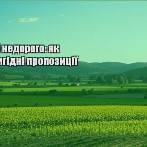 podorozhi nedorogo yak znajty vygidni propozycziyi