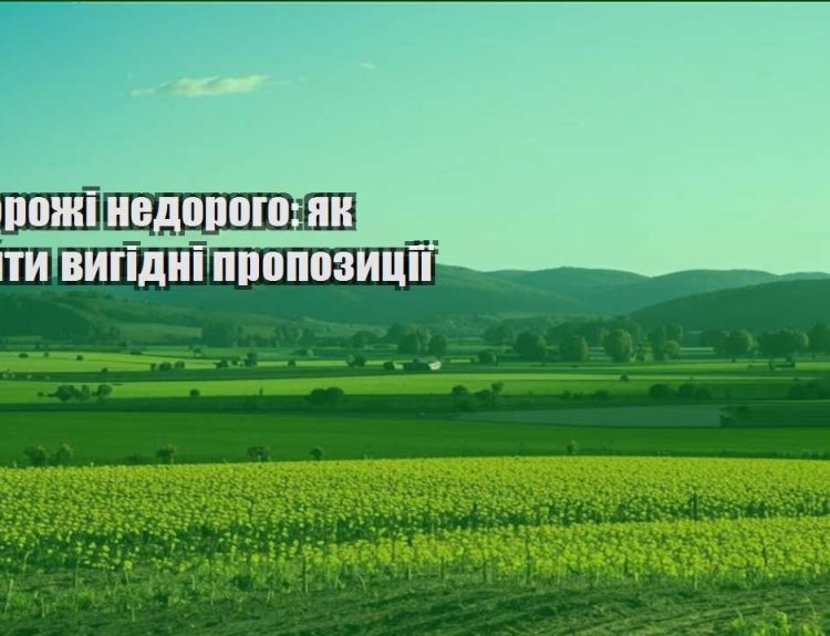 podorozhi nedorogo yak znajty vygidni propozycziyi