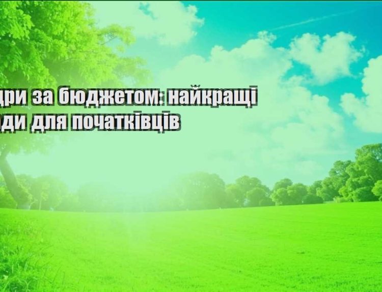 mandry za byudzhetom najkrashhi porady dlya pochatkivcziv