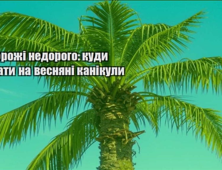 podorozhi nedorogo kudy poyihaty na vesnyani kanikuly