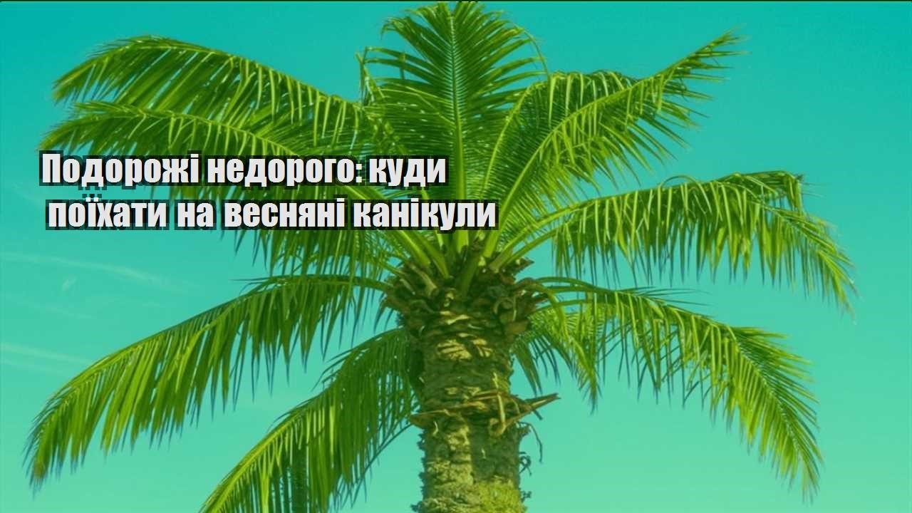 podorozhi nedorogo kudy poyihaty na vesnyani kanikuly
