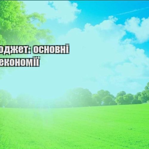 trevel byudzhet osnovni pravyla ekonomiyi