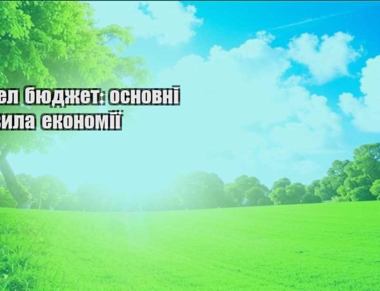 trevel byudzhet osnovni pravyla ekonomiyi