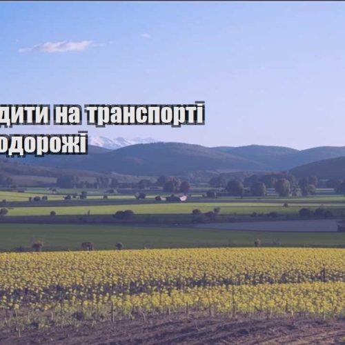 yak zaoshhadyty na transporti pid chas podorozhi