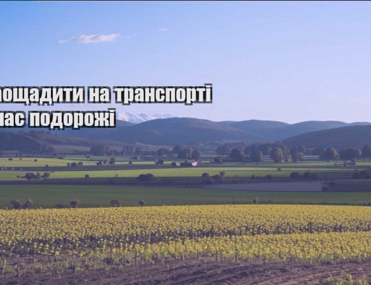 yak zaoshhadyty na transporti pid chas podorozhi