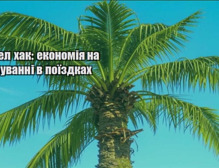 trevel hak ekonomiya na harchuvanni v poyizdkah