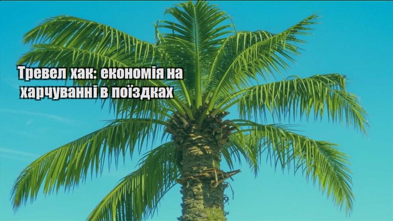 trevel hak ekonomiya na harchuvanni v poyizdkah