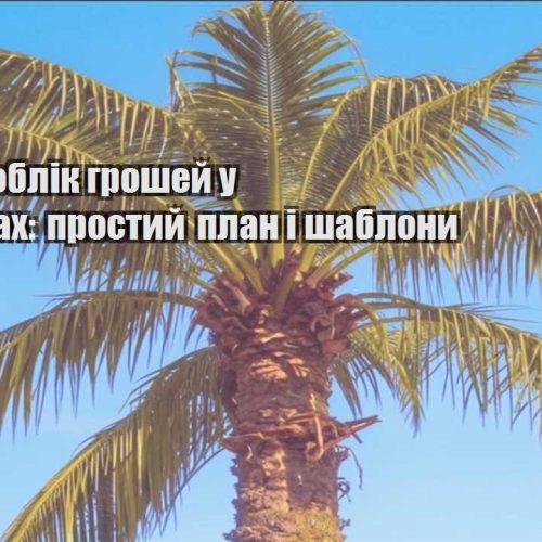 yak vesty oblik groshej u podorozhah prostyj plan i shablony