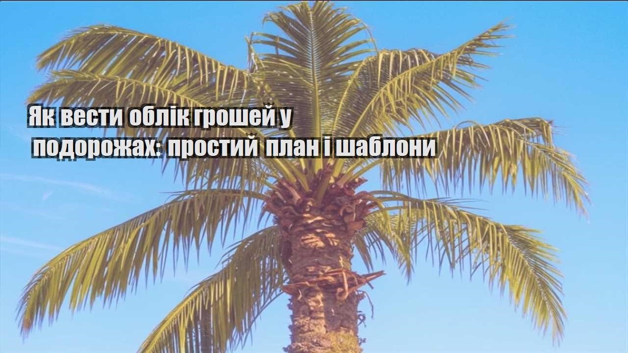 yak vesty oblik groshej u podorozhah prostyj plan i shablony