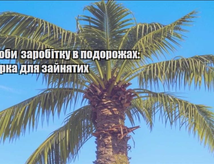 sposoby zarobitku v podorozhah dobirka dlya zajnyatyh