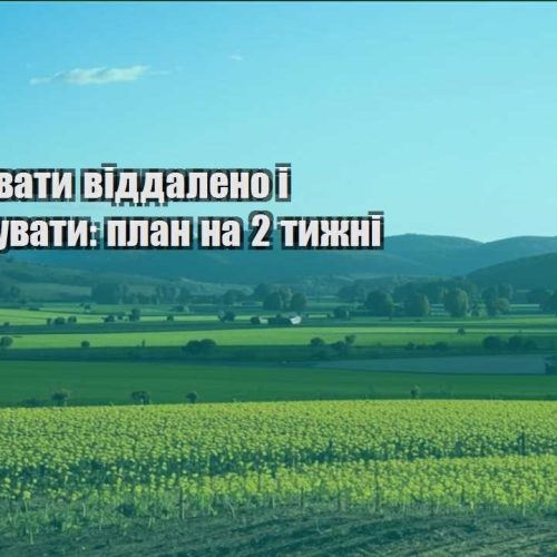 yak praczyuvaty viddaleno i podorozhuvaty plan na 2 tyzhni