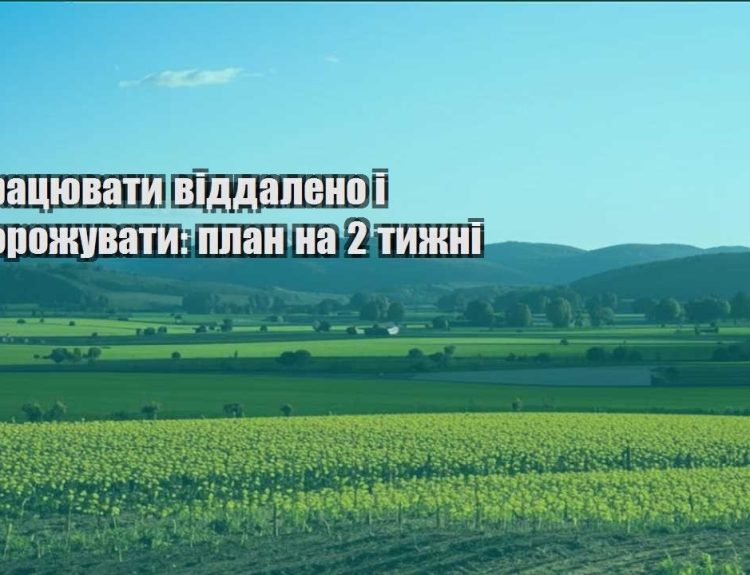 yak praczyuvaty viddaleno i podorozhuvaty plan na 2 tyzhni