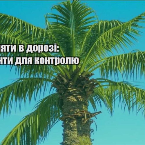 yak zaroblyaty v dorozi instrumenty dlya kontrolyu