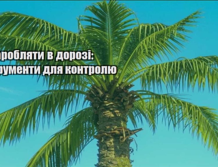 yak zaroblyaty v dorozi instrumenty dlya kontrolyu