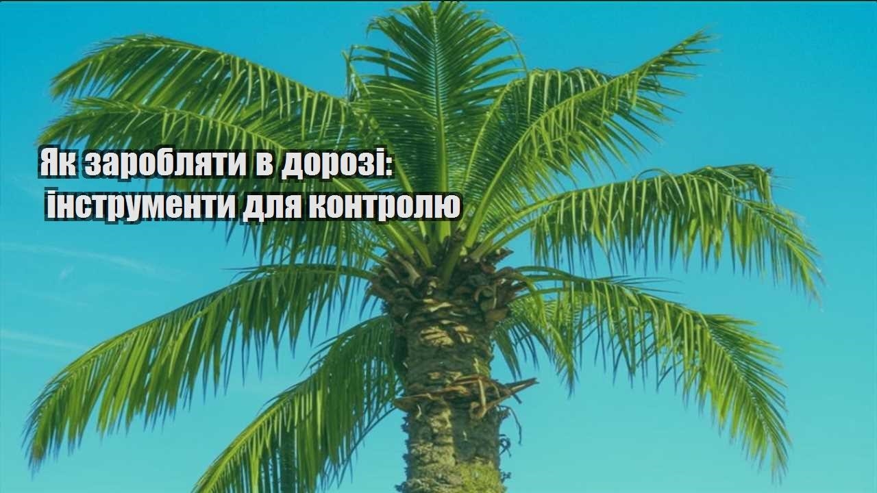 yak zaroblyaty v dorozi instrumenty dlya kontrolyu