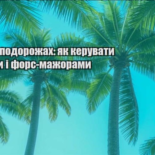 biznes na podorozhah yak keruvaty ryzykamy i fors mazhoramy
