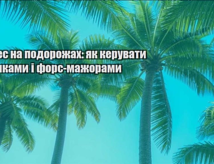 biznes na podorozhah yak keruvaty ryzykamy i fors mazhoramy