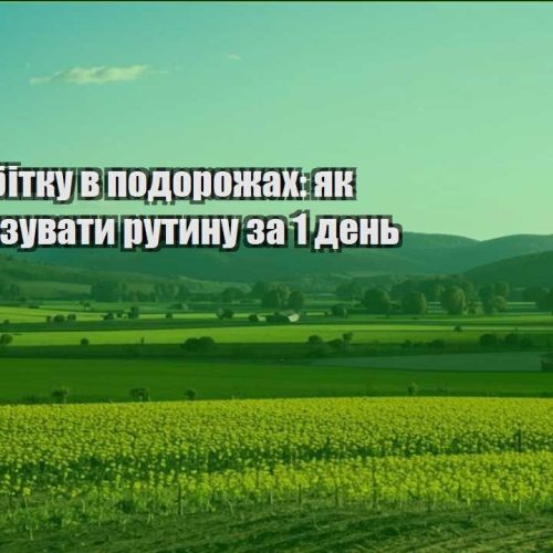 ideyi zarobitku v podorozhah yak avtomatyzuvaty rutynu za 1 den