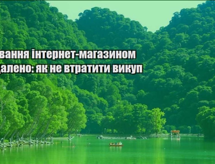keruvannya internet magazynom viddaleno yak ne vtratyty vykup