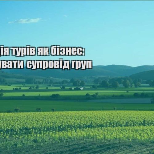 organizacziya turiv yak biznes yak deleguvaty suprovid grup
